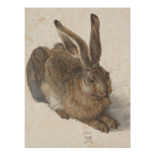 Pôster Albrecht Dürer Estilo Vintage - Lebre Acrílica