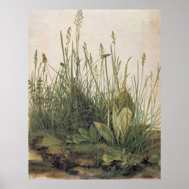 Pôster Albrecht Durer Excelente Peça de Turf (Frente)