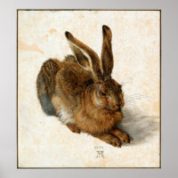 ALBRECHT DÜRER - Jovens lebres 1502