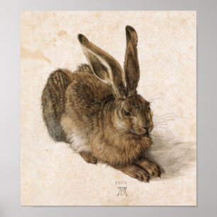 Pôster Albrecht Dürer - Junger Hase (lebre nova), 1502