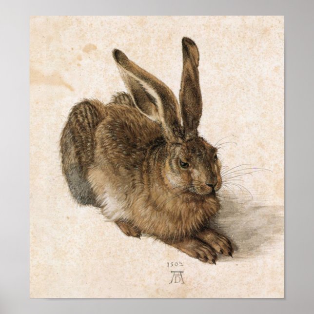 Pôster Albrecht Dürer - Junger Hase (Young Hare), 1502 (Frente)