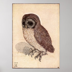 Pôster Albrecht Durer Little Owl