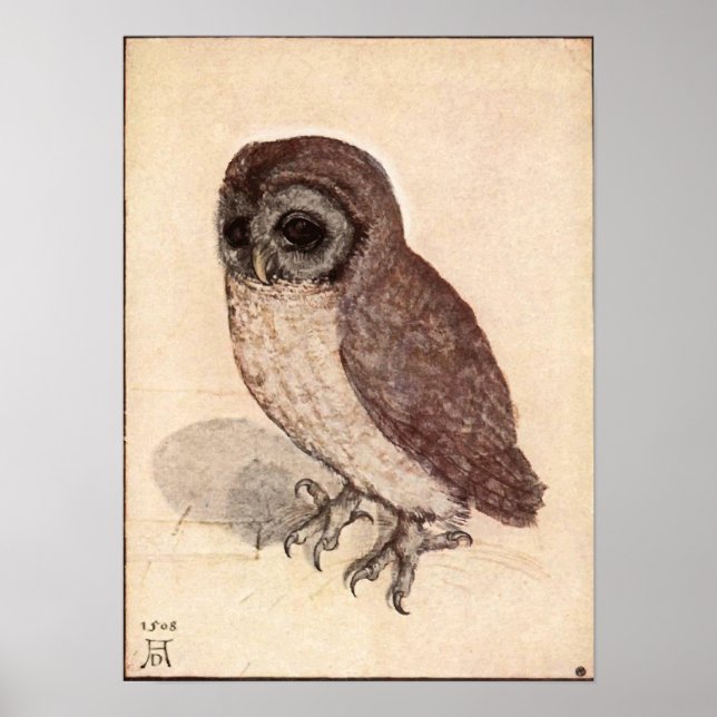 Pôster Albrecht Durer Little Owl (Frente)