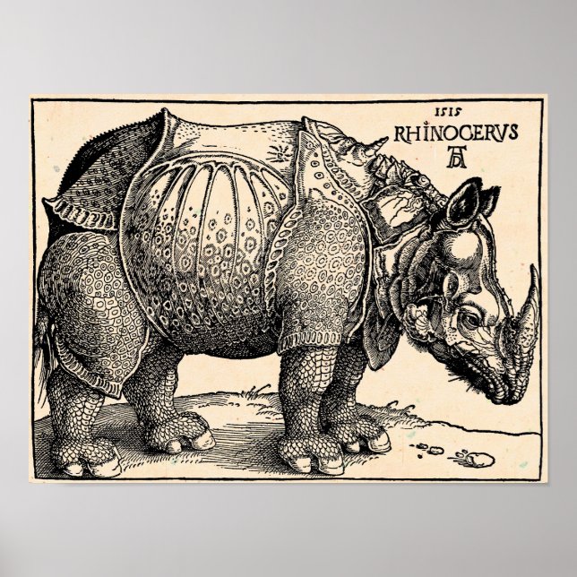 Poster Albrecht Dürer Rhinoceros (Frente)