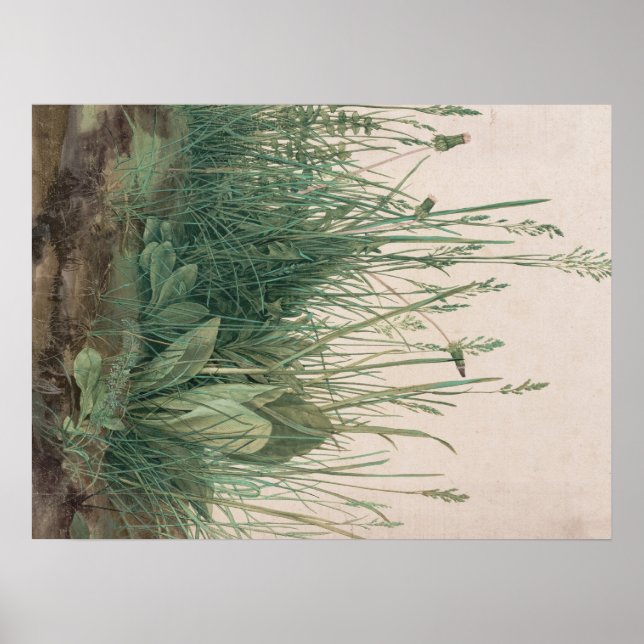 Pôster Albrecht Durer Sketch (Frente)