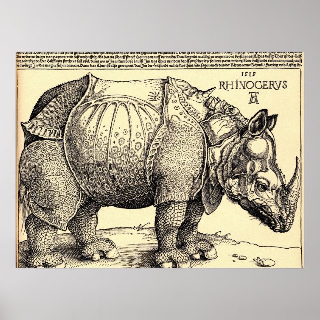 Pôster Albrecht Durer Sketching (Frente)