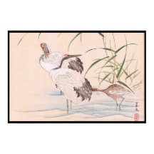 Álbum de aves e flores, gruas móveis