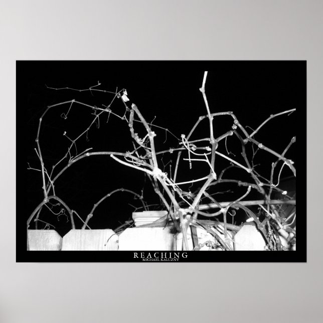 Pôster Alcance (Frente)