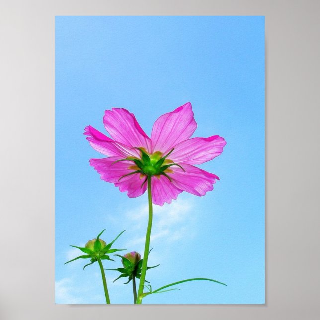 Poster Alcance para a Vida (Frente)