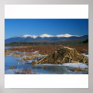 Poster Alcance Presidencial Monte Washington Beaver Lodge