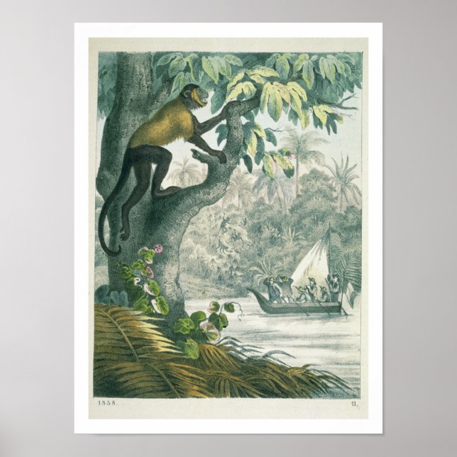 Poster Alcance superior da Amazônia, de 'Das Buch der We (Frente)