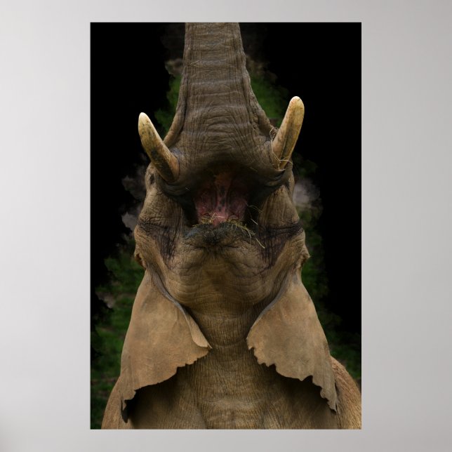 Poster Alcance superior do Elefante de Snack Encantado (Frente)