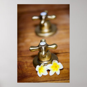 Pôster Alças cruzadas