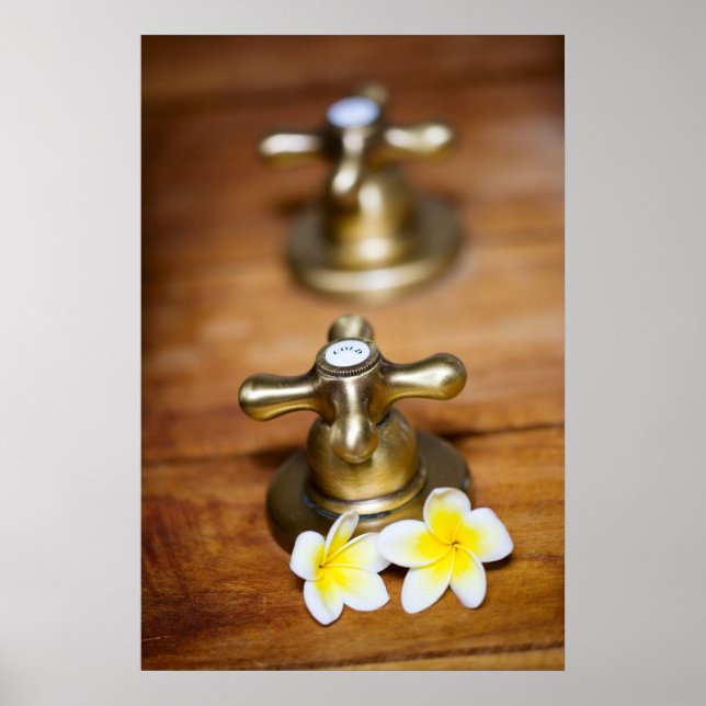 Pôster Alças cruzadas (Frente)