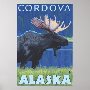 Pôster Alces na noite - Cordova, Alaska