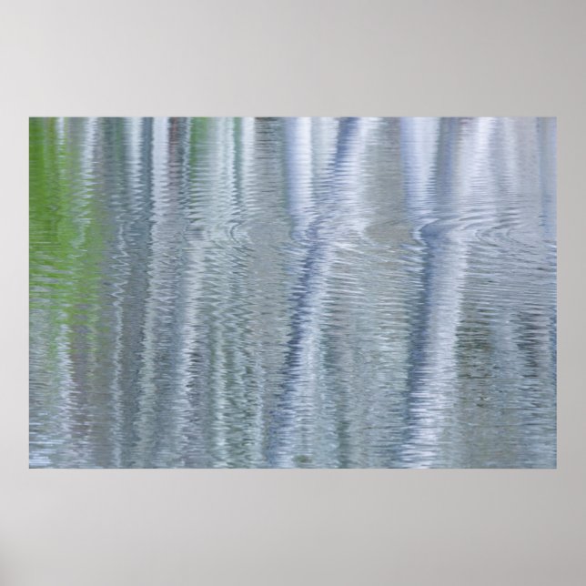 Poster Alder Trees | Ilha de Bainbridge, WA (Frente)