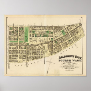 Pôster Alegrey ward 4