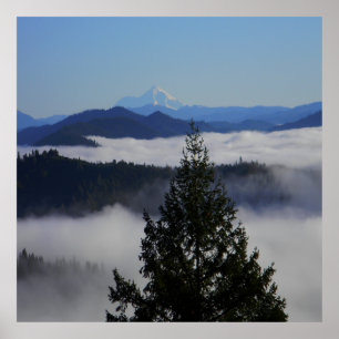 Poster Além da árvore....