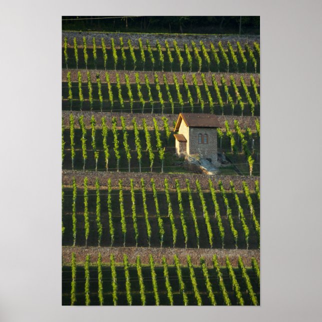 Poster Alemanha, França, Wertheim. Encosta especial 2 (Frente)