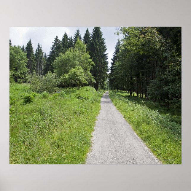 Poster Alemanha, Turíngia, caminho para a floresta (Frente)