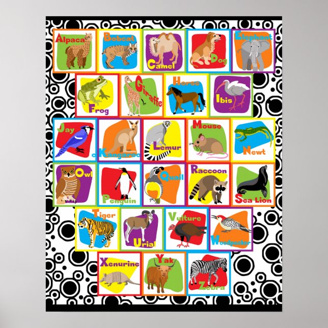 Poster Alfabeto Animal (Frente)