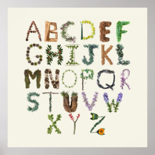 Poster Alfabeto Botânico - Fonética ABC da Natureza 