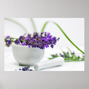 Poster Alfazema fragrância