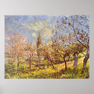 Poster Alfred Sisley Orchard em primavera