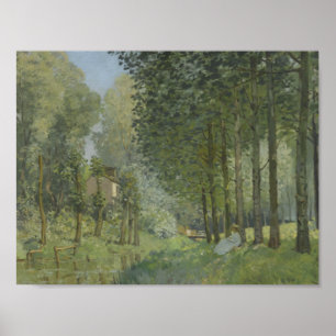 Poster Alfred Sisley - resto ao longo do córrego