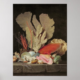 Pôster Alga, Lithophytes e Seashells