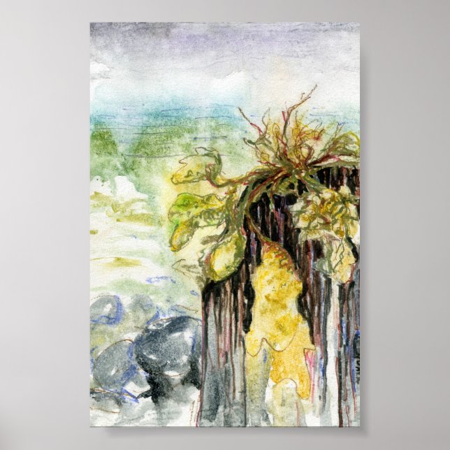 Pôster Algas marinhas e praia desaparecendo sob a chuva (Frente)