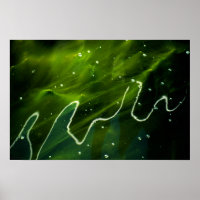 Algas verdes e água