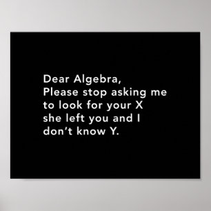Poster Álgebra e seu X