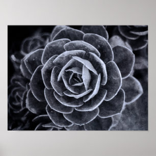 Pôster Algo diferente