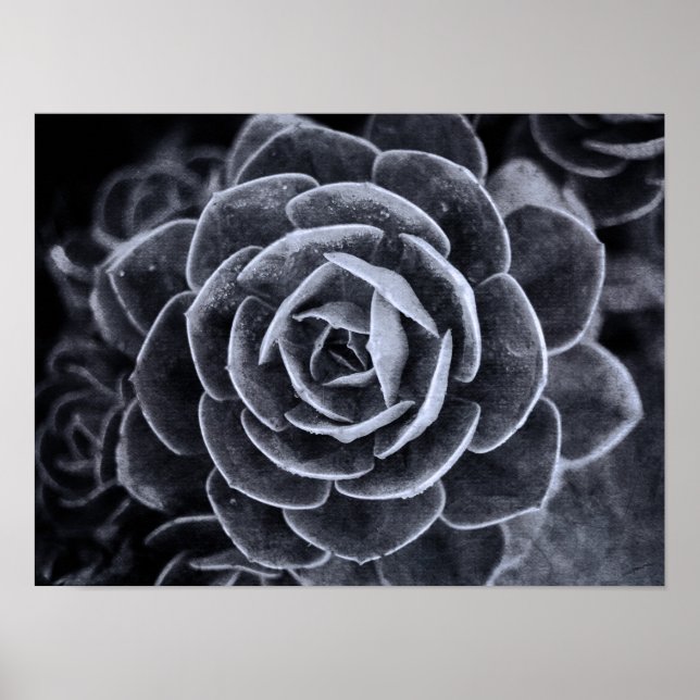 Pôster Algo diferente (Frente)