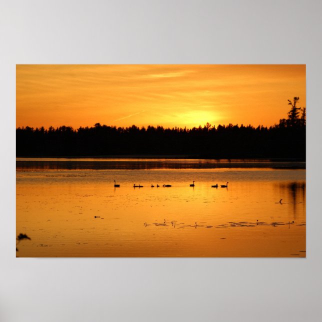 Poster Algo no Laranja - Patos (Frente)