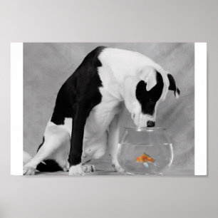 Pôster Algo para comer, talvez?