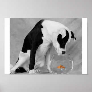 Pôster Algo para comer, talvez?