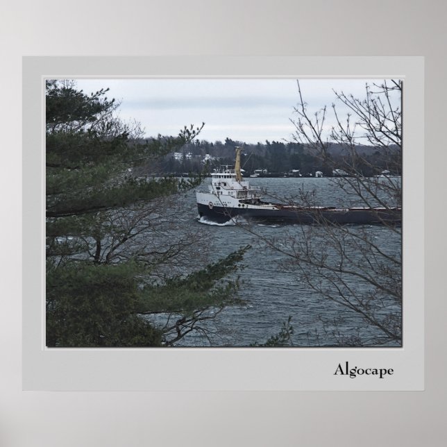 Pôster Algocape (Frente)