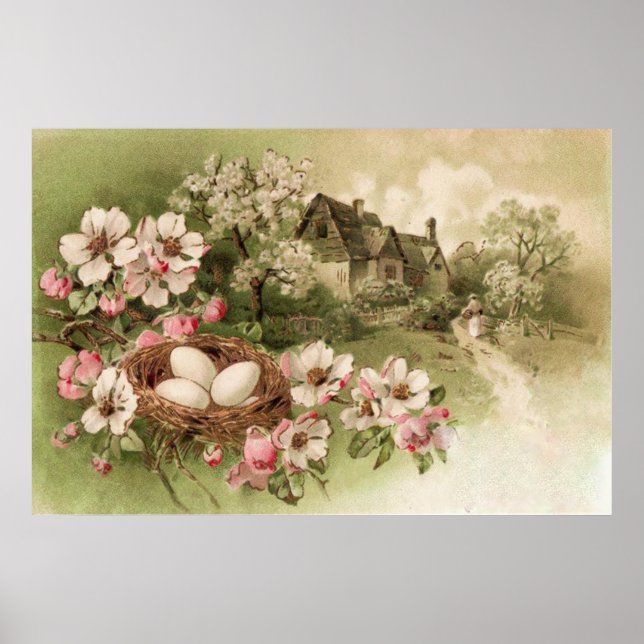 Pôster Algodão De Ovo De Pássaros De Árvore Dogwood (Frente)
