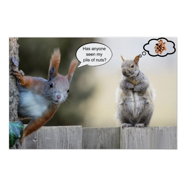 Pôster Alguém viu meus nozes? (Frente)