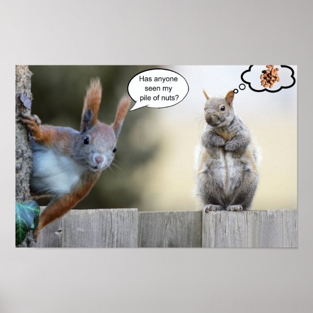 Poster Alguém viu minhas nozes? (Frente)