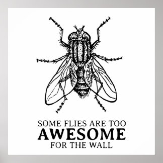 Pôster Algumas Moscas