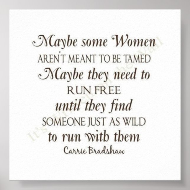 Pôster Algumas mulheres não devem ser violadas. (Frente)