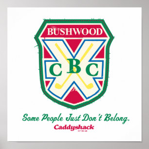 Poster Algumas Pessoas simplesmente não pertencem