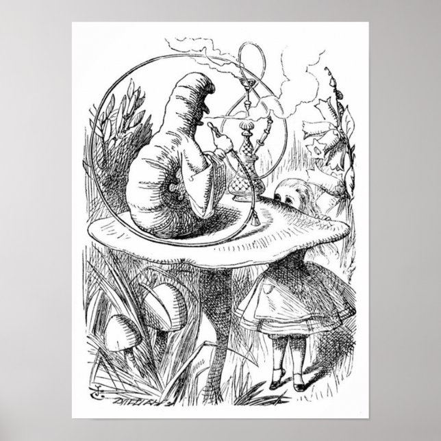 Pôster Alice e a lagarta (Frente)