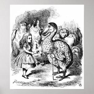 Poster Alice e o Dodo