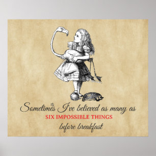 Poster Alice e o Flamingo