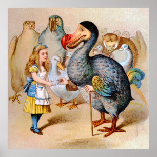 Poster Alice e o Pássaro Dodo na Terra das Maravilhas