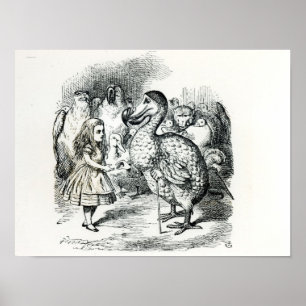 Pôster Alice encontra o Dodo
